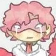 hiha alpha 