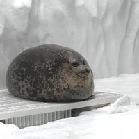 Cân mọi vai diễn