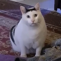 ？？？
