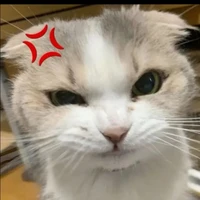 all trừ ai thì trừ