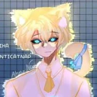 hiha anti catnap