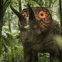 Triceratops