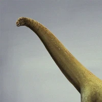Alamosaurus