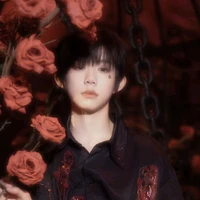 Trần Dịch Hằng | anh²
