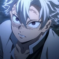Shinazugawa Sanemi