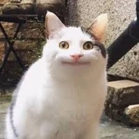 ALL