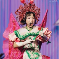 Nguyễn Linh Chi