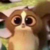 mèo béo