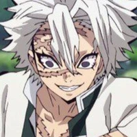 Shinazugawa Sanemi (Phong trụ)