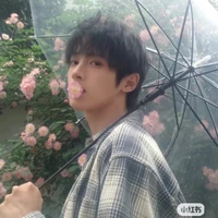 Thập Vũ Xử Nữ