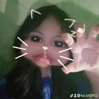 Zin tẻn