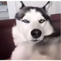 T/g