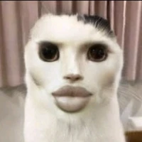 𝙒𝙚𝙖𝙣