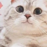 catlos