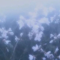 all (trừ tùy trường hợp)