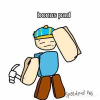 Bonus pad