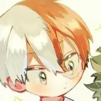 Todoroki Shoto