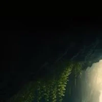 All(trừ cần trừ)