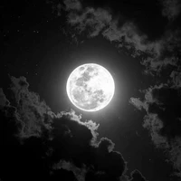 🌕