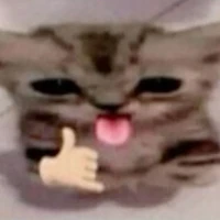 nhỏ t/g lesbian 😻