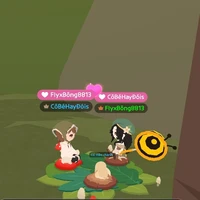 Lại là Bông đay