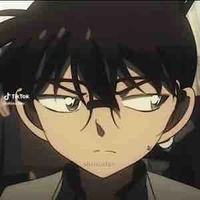 Edogawa conan