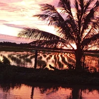 Tất cả ( Trừ ....)