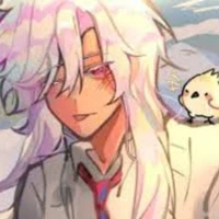 hiha hologram