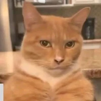Ba