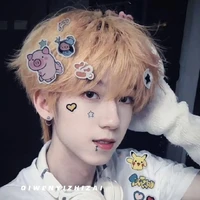 Dương Bác văn /V/