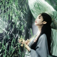 Nam Nhược Giao