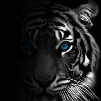 Nhóm cậu ( - ai thì - )