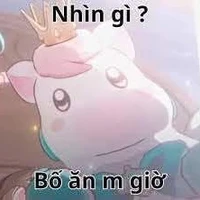 Admin-Ica béo