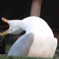All