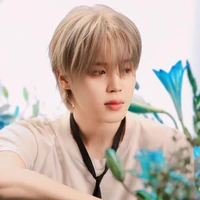 Phác Trí Mẫn (cô)