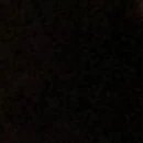Báo Chí