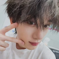 Đinh Trình Hâm