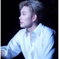 Dương Domic