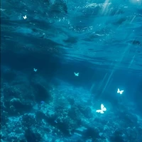 t/g thích đại dương