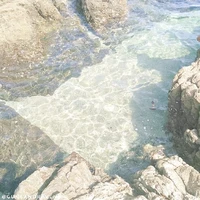 All/tất cả(trừ ai thì trừ)