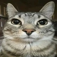 •Nhân vật này đã bị con mèo🐈‍⬛