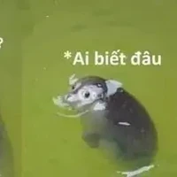 Hiệu trưởng đz=))