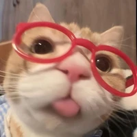 t/g cute hột me🥹💕
