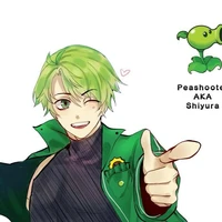 shiyura