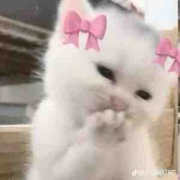Con ả tác giả 