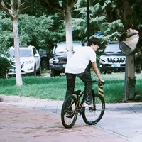 Trương Cực - hắn