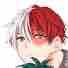 Todoroki Shoki