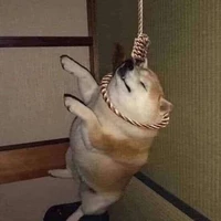 ♫ Góc nhạc ♪