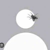 Tất cả (trừ ai thì trừ)