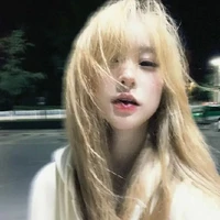 Đinh Hạ Mỹ Linh